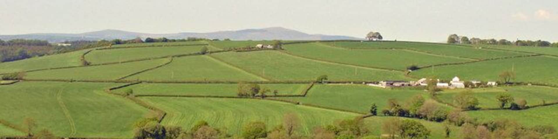 Tynewydd Farm, Llawhaden In the distance is Moel Cwmcerwyn, the highest point in the Preseli Hills