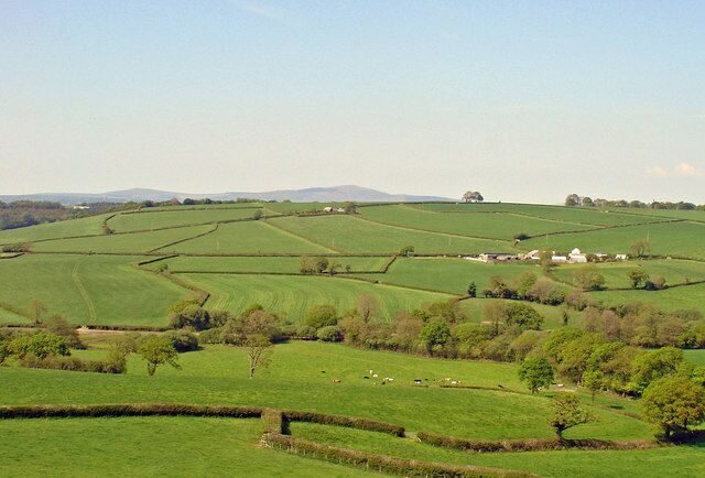 Rolling green fields, stone walls, and scattered trees.