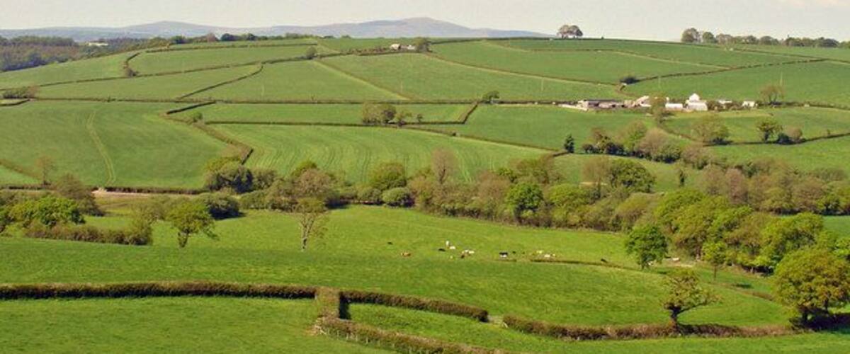 Rolling green fields, stone walls, and scattered trees.