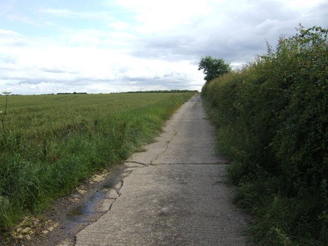 Concrete farm track to Eltisley Oak Ripening wheat on the left hand side.
