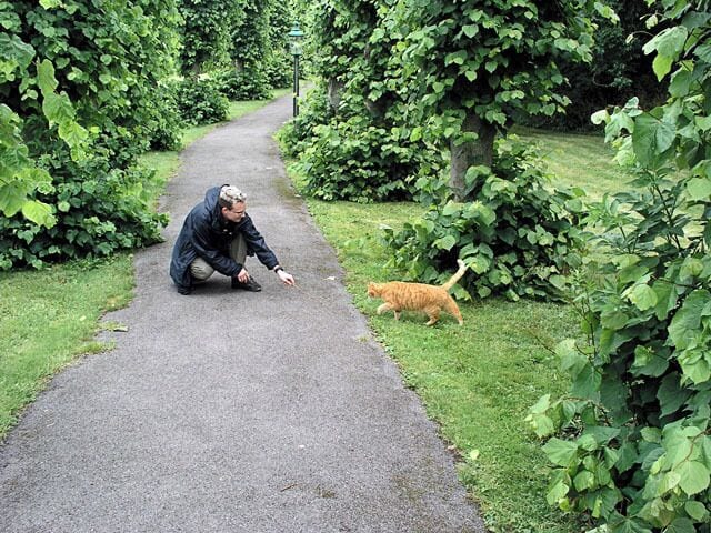 Eltisley churchyard. ... the Ginger Guardian