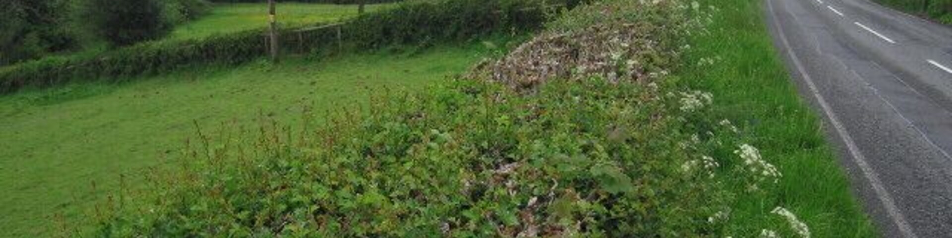 Felingwm Uchaf This shows the fields below the road just above the little village of Felingwmuchaf (two words on the roadsign).