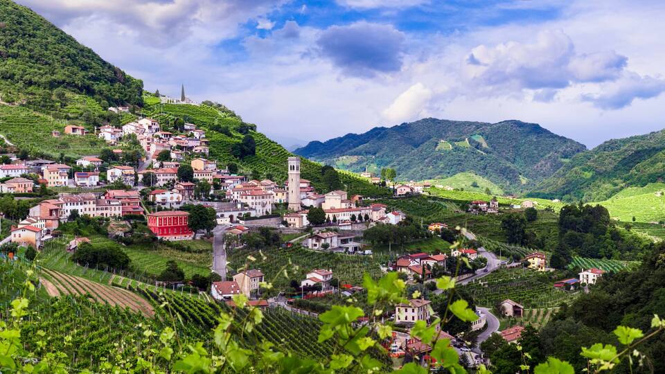 A hillside village with terraced vineyards and traditional houses.