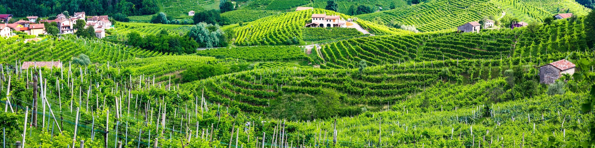 famous wine region in Treviso, Italy. Valdobbiadene hills and vineyards on the famous prosecco wine route and scenic villages