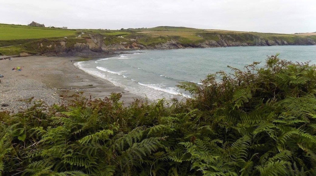 Abereiddy Beach, Pembrokeshire, Wales, UK.
#Vacation #Holiday #Trip #Travel #Summer #Wales #Pembrokeshire #PembrokeshireCoast #NationalPark #Countryside #Seaside #Nature #Walking #Hiking #Outdoors #GetOutside #Exploring #Adventure #TheGreatOutdoors #WildPlaces #GreatBritain #BritainsBreathingSpaces