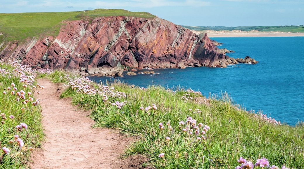 So many cool places to discover in Pembrokeshire, the National Coastal Path brings you some stunning views and great photo opportunities.