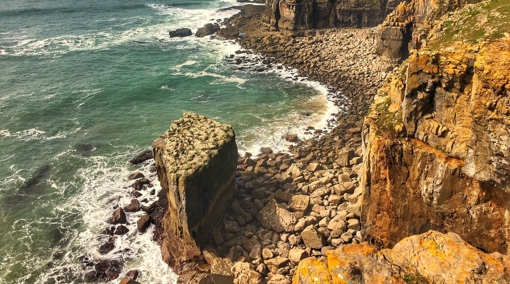 Pembrokeshire coastal walk - what an amazing 2 days hike at these amazing coastal hikes #red #travel #nature #nationalpark #hiking #water