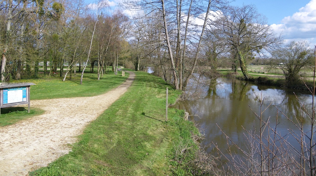 la seiche a chatillon sur seiche