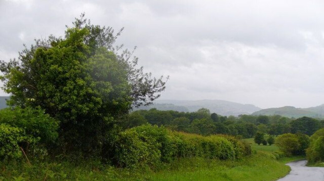 Country Lane, Llanfabon This twisty lane lined with grassy verges and hedgerows leads downhill from the Rhymney Valley Ridgeway to the village of Nelson.