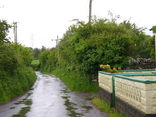 Narrow Lane out of Llanfabon Hedgerow-lined lane leading east from Pengelli to Bryntaldwyn and Nelson.