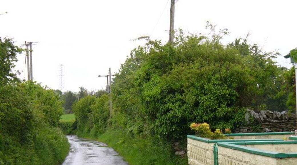 Narrow Lane out of Llanfabon Hedgerow-lined lane leading east from Pengelli to Bryntaldwyn and Nelson.