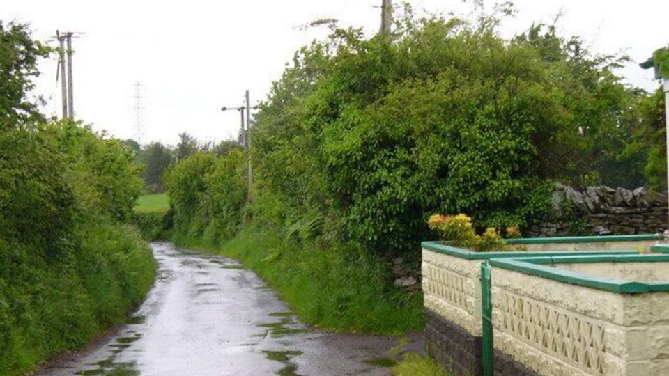 Narrow Lane out of Llanfabon Hedgerow-lined lane leading east from Pengelli to Bryntaldwyn and Nelson.