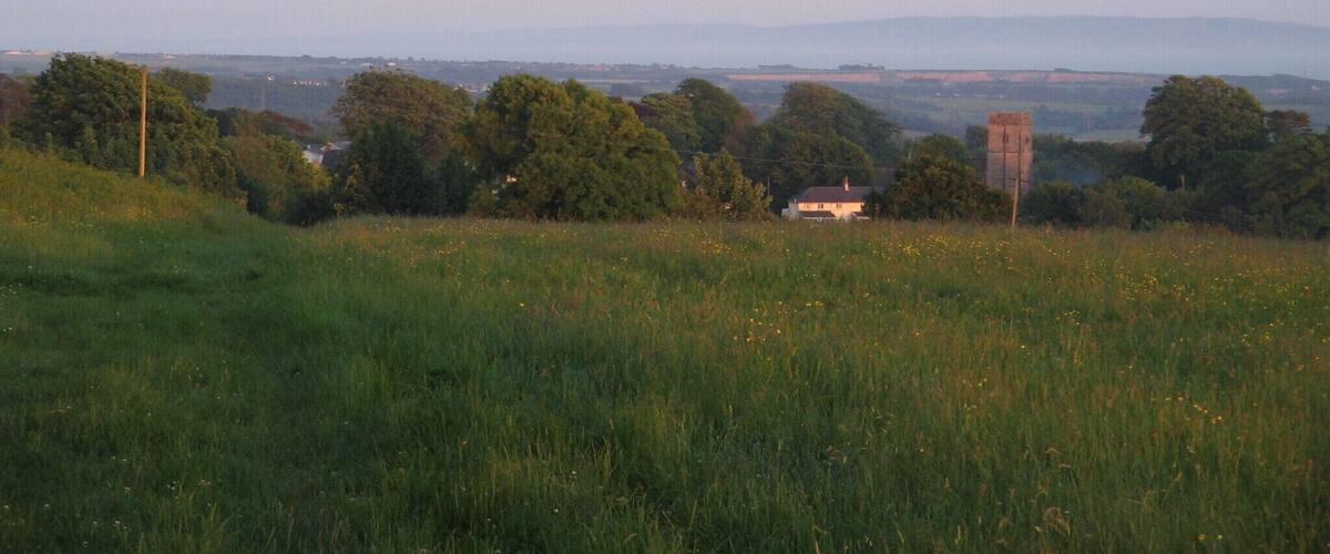 A grassy field with trees and a distant view of a town and mountains.
