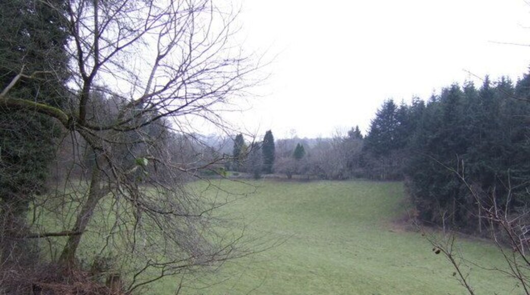 Scene near Kennel Cottage A spot well off the beaten track amongst the pasture and woodland of the Marches country of Herefordshire.