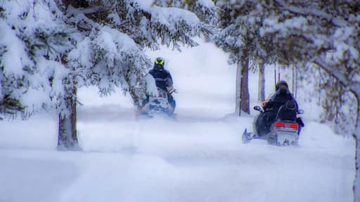 Sainte-Emelie-de-L'Energie