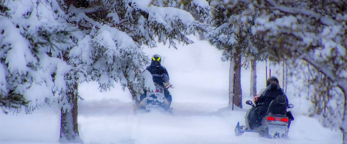 Two snowmobiles on a snowy path surrounded by trees.