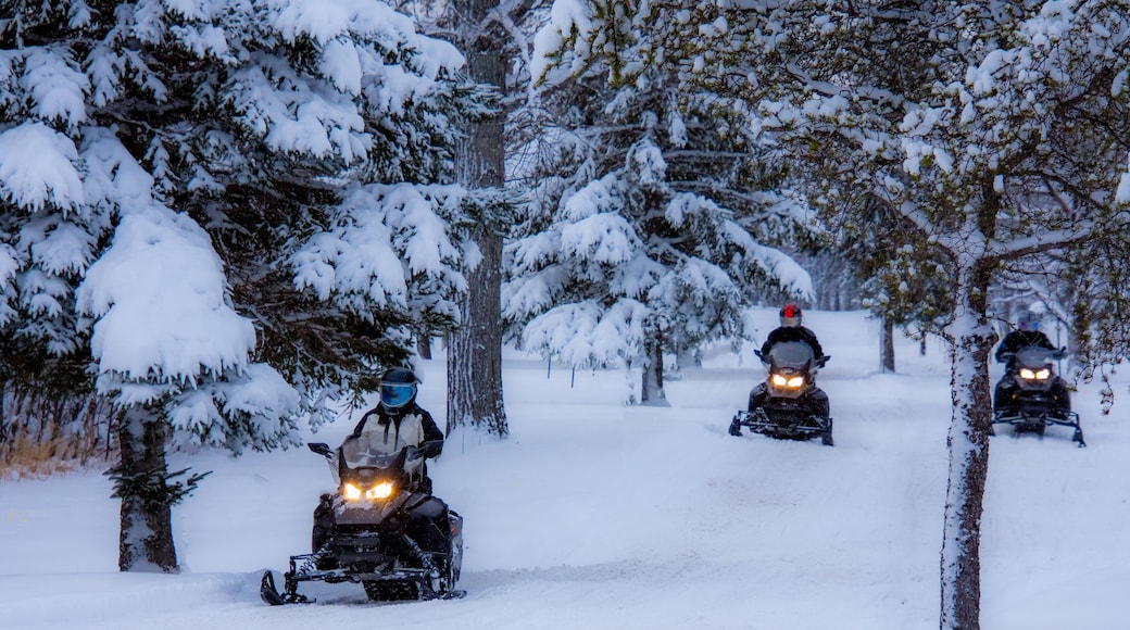 Sainte-Emelie-de-L'Energie