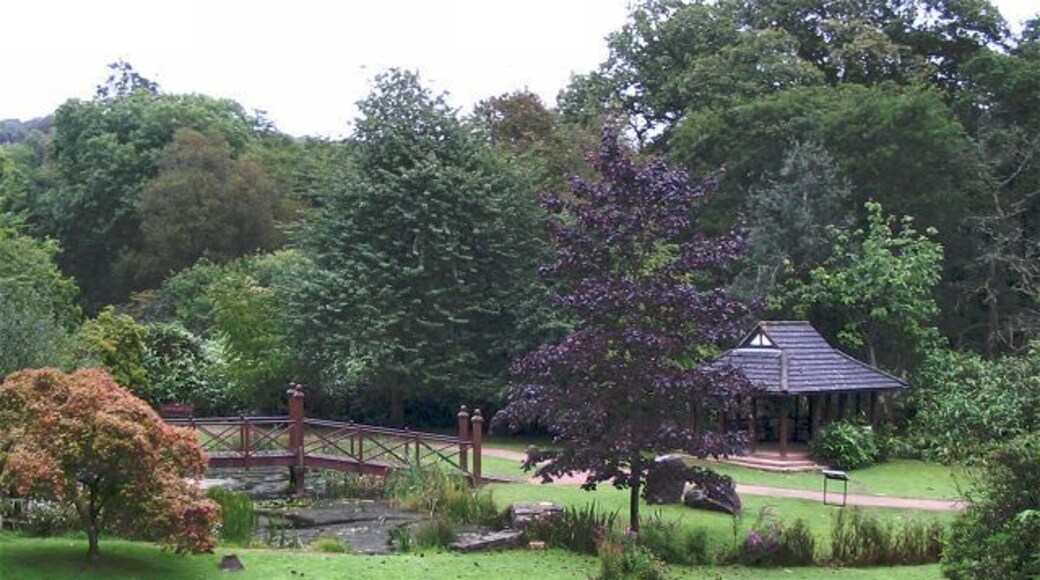 Oriental garden in Bryngarw Country Park One of many different environments in the park. There is also river, forest and a barbecue area.