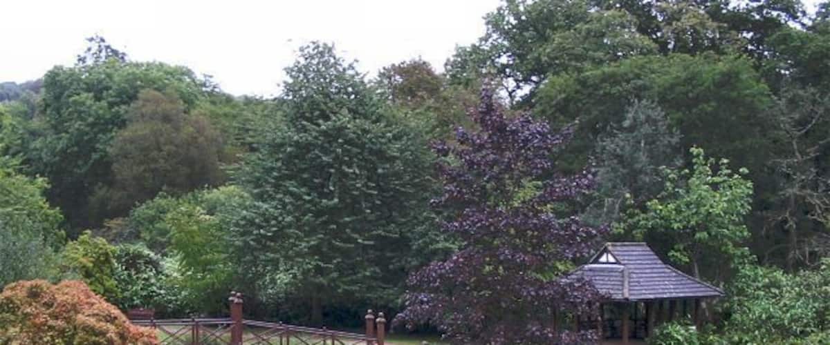 A park with a gazebo, a bridge, and a pond.