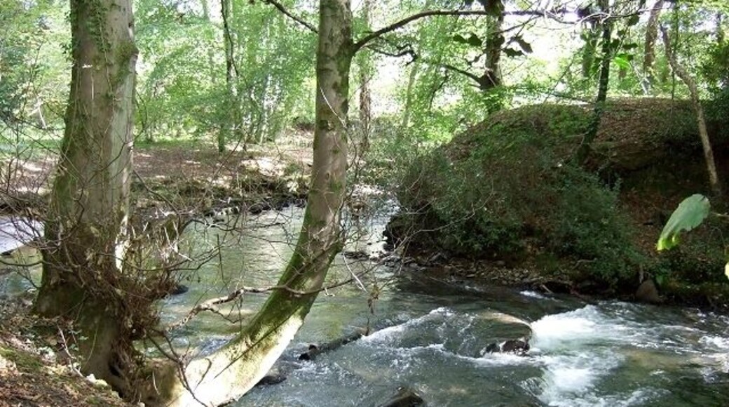 Bryngarw Country Park, Brynmenyn