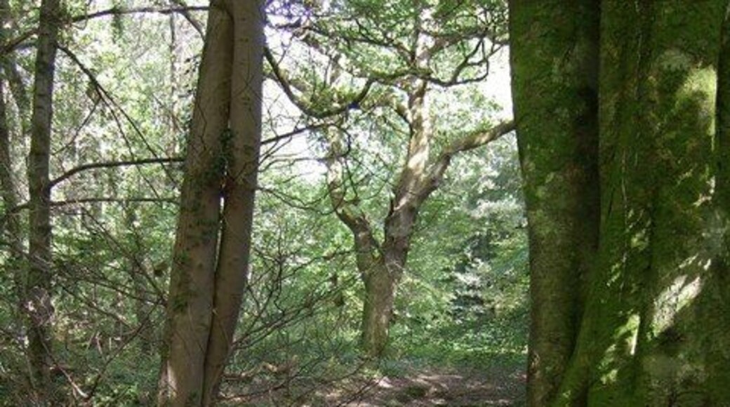 Bryngarw Country Park, Brynmenyn