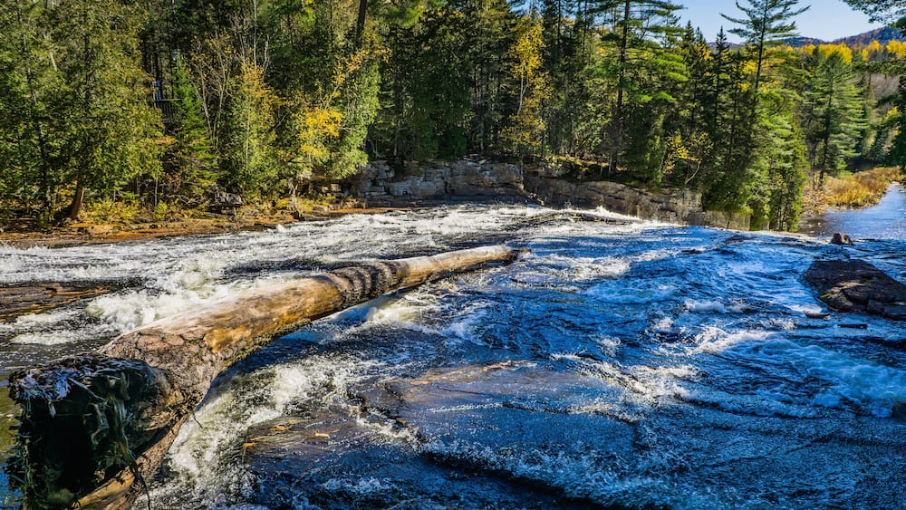 A river flowing through a forest with a rocky bed and trees with autumn foliage.