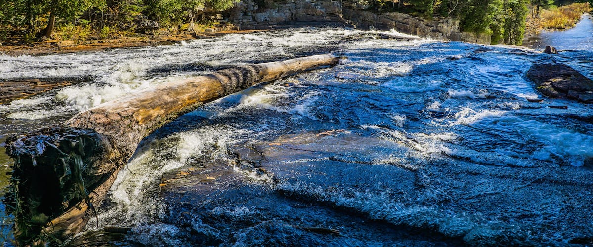 A river flowing through a forest with a rocky bed and trees with autumn foliage.