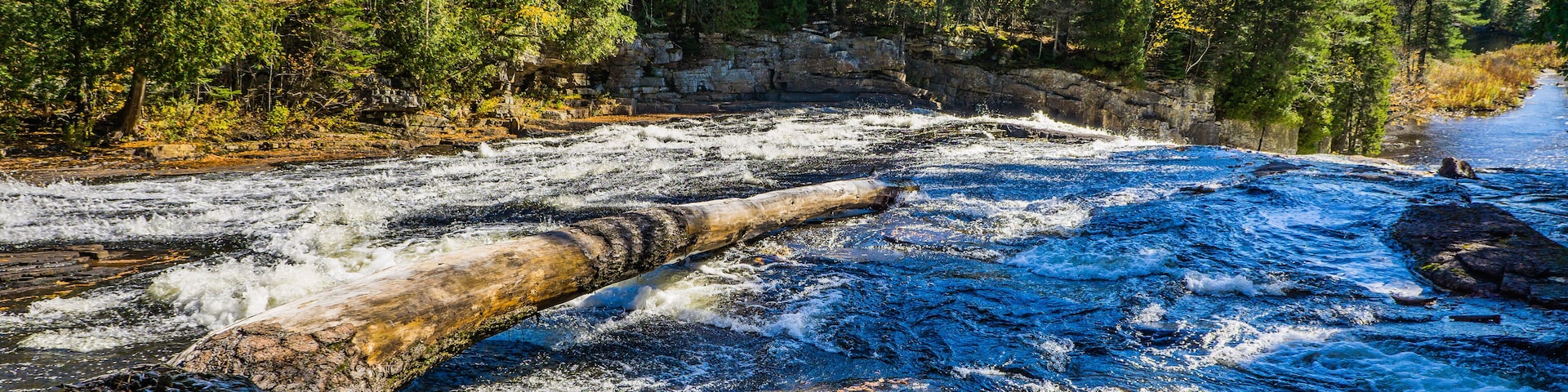 A river flowing through a forest with a rocky bed and trees with autumn foliage.