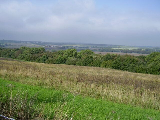 Congburn wood near Edmondsley.