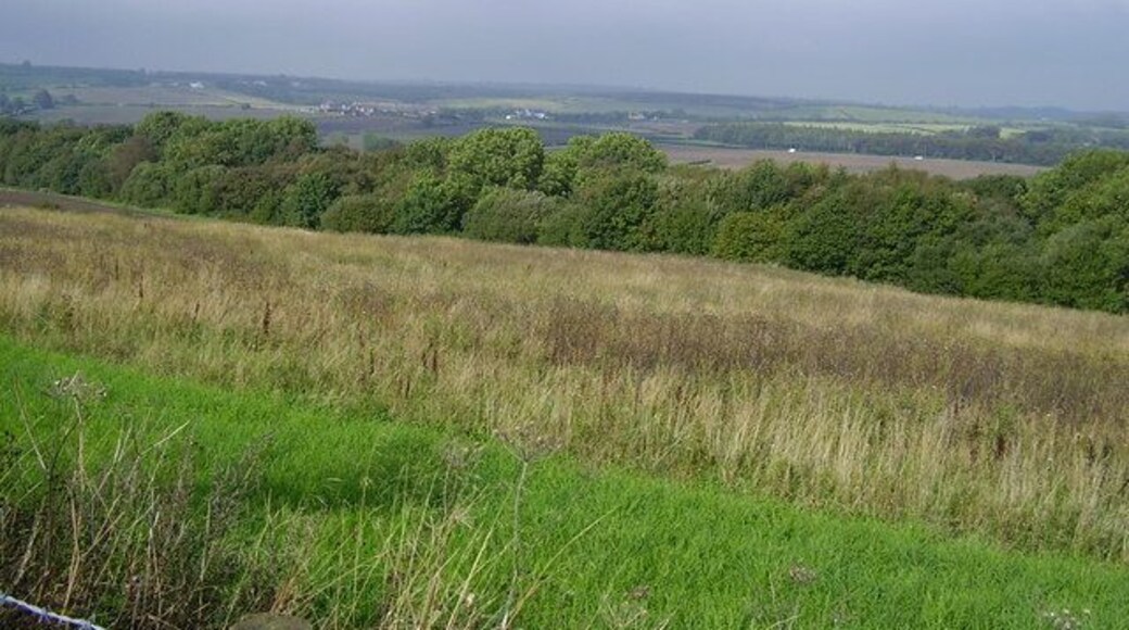 Congburn wood near Edmondsley.