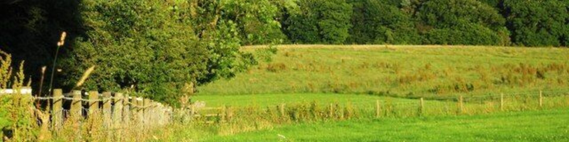 Footpath along Little Burn A view of the footpath along little burn