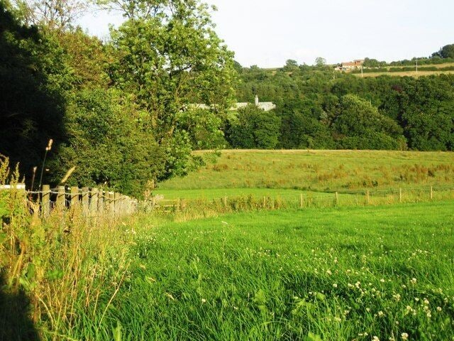 A lush green field with a wooden fence, trees, and a distant building.