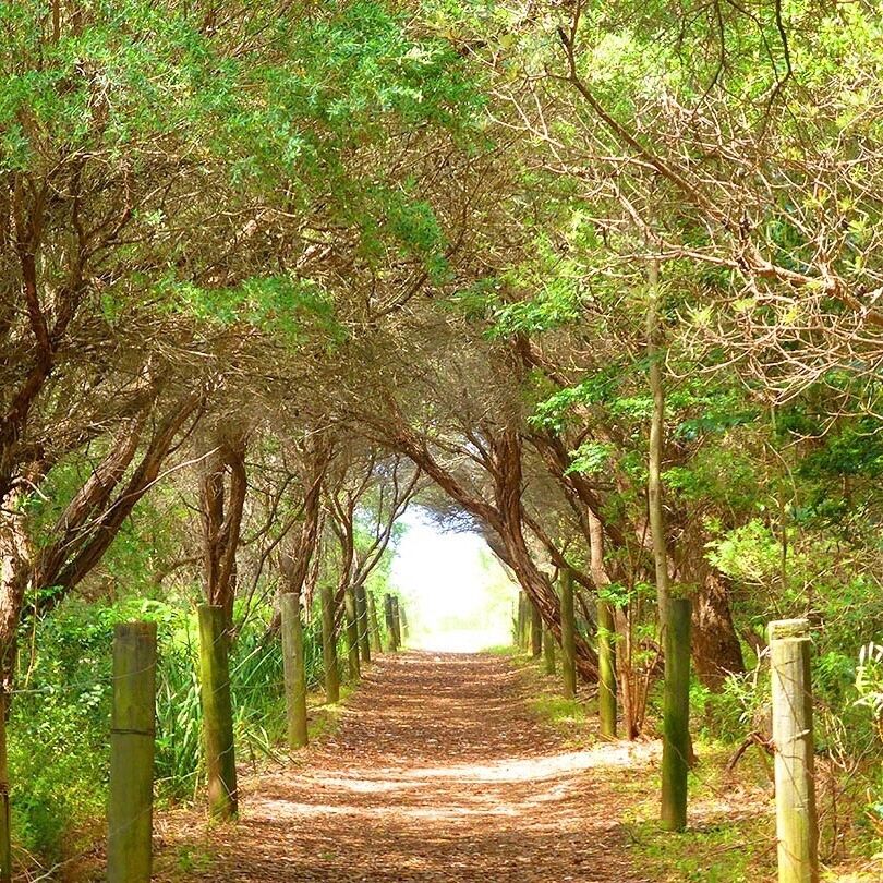 The Northern Illawarra is between Sydney and Wollongong, Australia To the north is the Royal National Park, the Seacliff Bridge and it is lined with epic beaches, and great little towns.