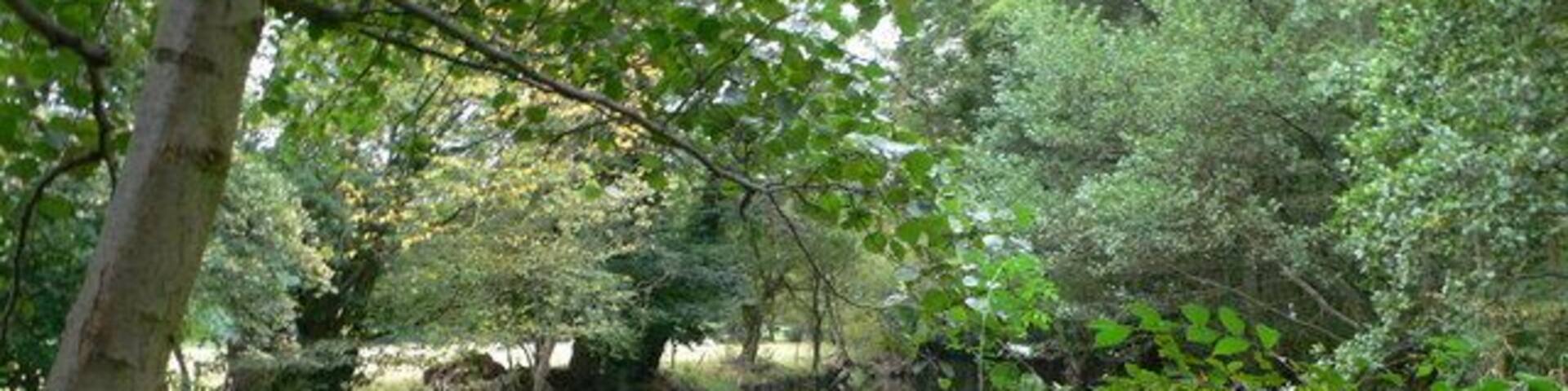 Weir on the Ceiriog To the west of Chirk.