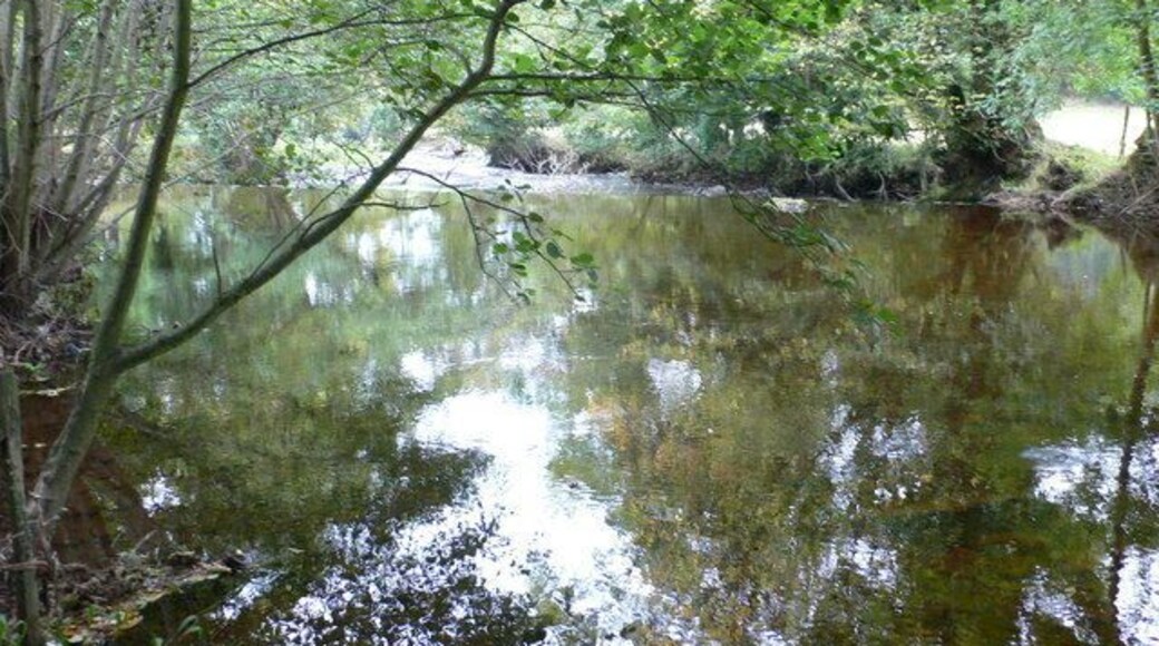 Afon Ceiriog The river Ceiriog flowing towards Chirk. Fly fishing area for trout