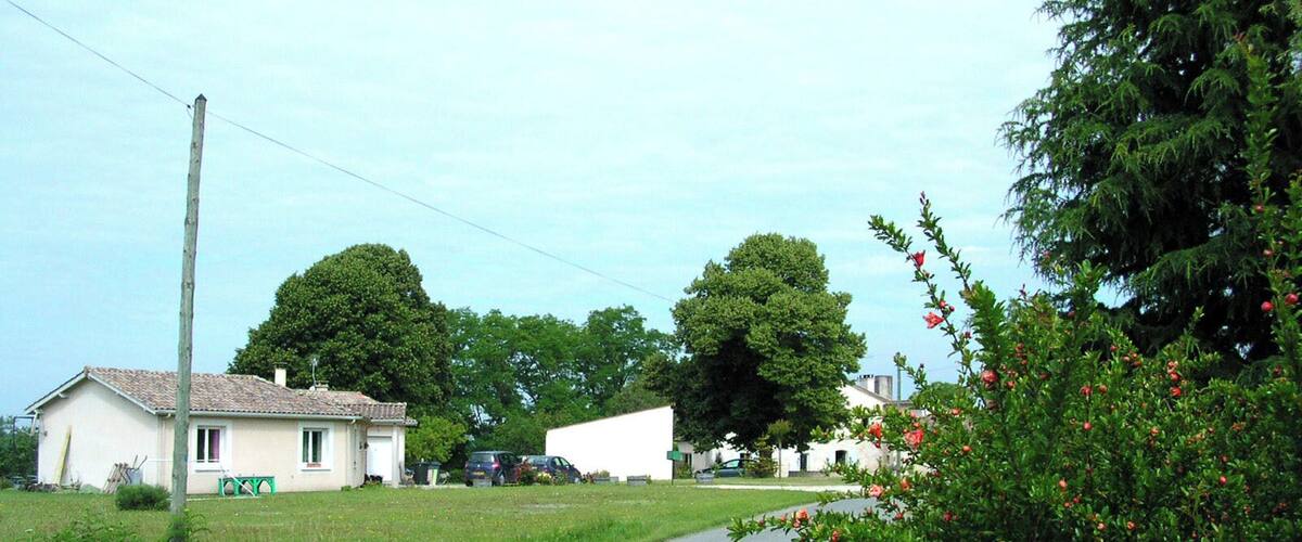 A rural road with houses, trees, and a bush with red flowers.