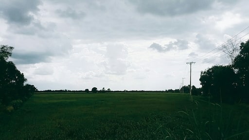 Somewhere in Long An Province