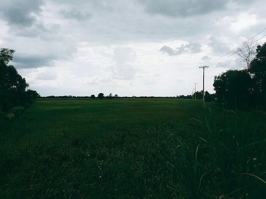 Somewhere in Long An Province