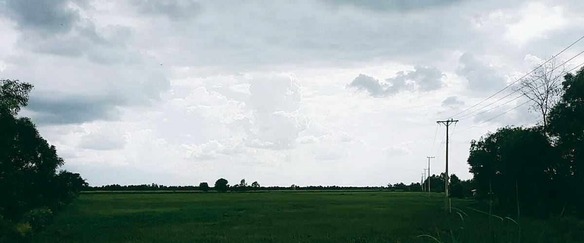 A vast green field with a cloudy sky and power lines in the distance.
