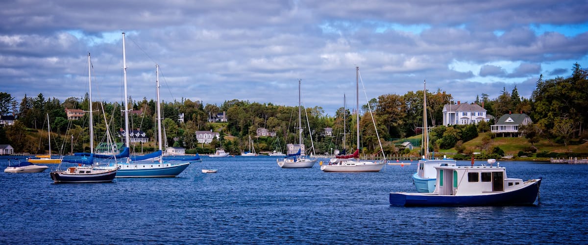 A harbor with multiple sailboats and a few motorboats, surrounded by houses and trees on a hillside.