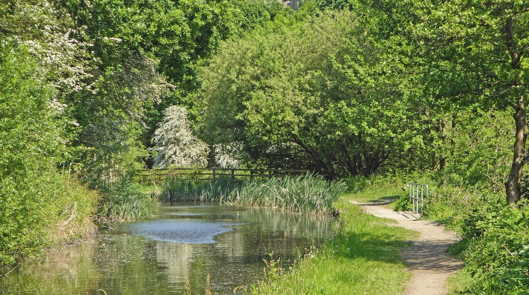 Huddersfield Narrow Canal