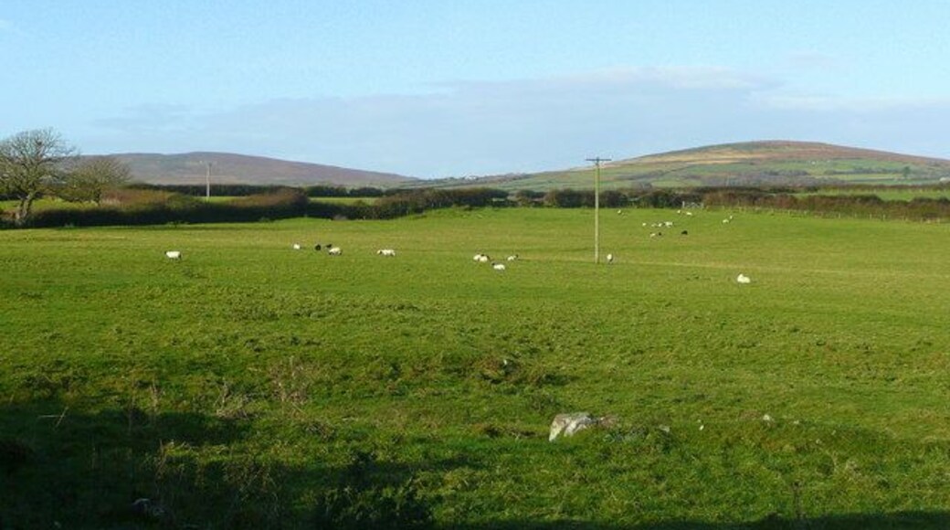 View west from St. David's Looking oversheep pasture to Rhossili Down, distant left and Hardings Down, right.