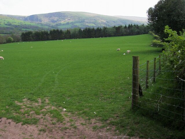 Fields East of Neuadd Fields down to the Afon Senni East of Neuadd