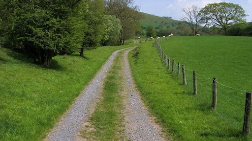 Farm track and fields Farm track and fields near Gelliau-isaf