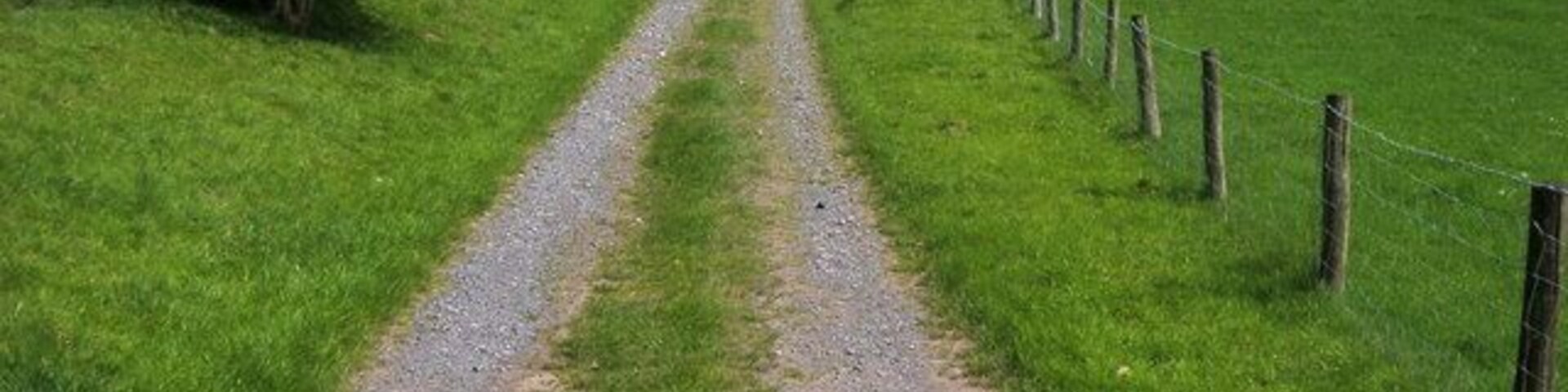 Farm track and fields Farm track and fields near Gelliau-isaf