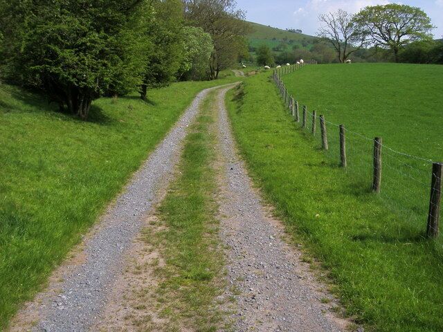A gravel path in a green field with a fence on one side and trees on the other.