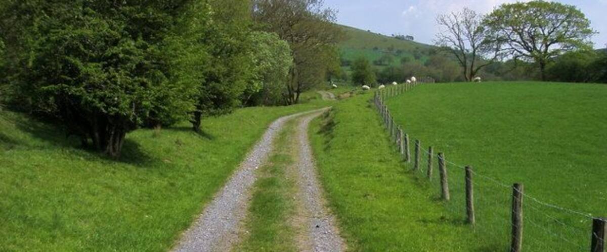 A gravel path in a green field with a fence on one side and trees on the other.