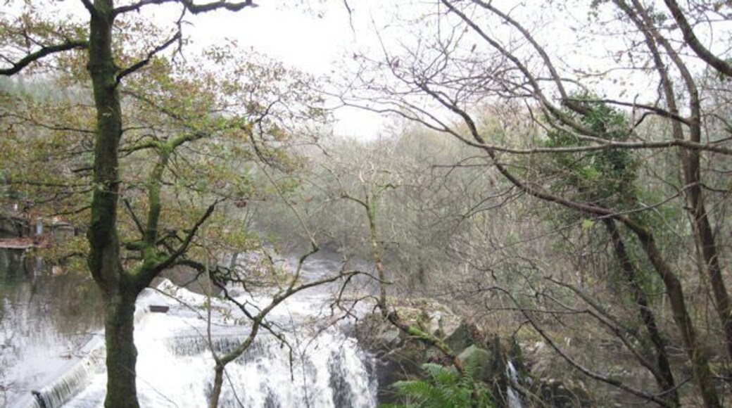 Dolanog Falls weir