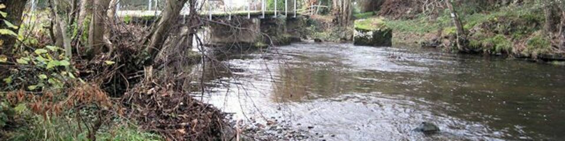 River Vyrnwy at Dolanog old bridge