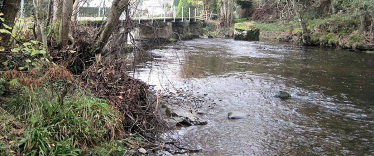 A river flowing under a bridge surrounded by trees and vegetation.